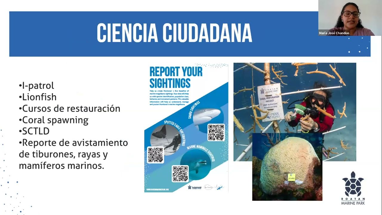 Webinar |  La ciencia ciudadana como una soluci&oacute;n para la conservaci&oacute;n marina