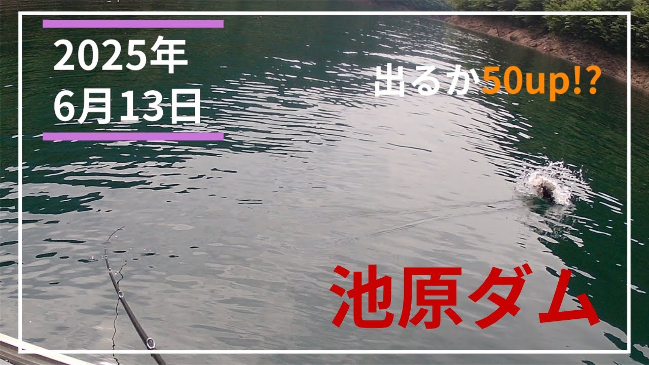 LOG #23【池原ダム】初夏の遠征！ バス釣りの聖地へ！[Day 2]