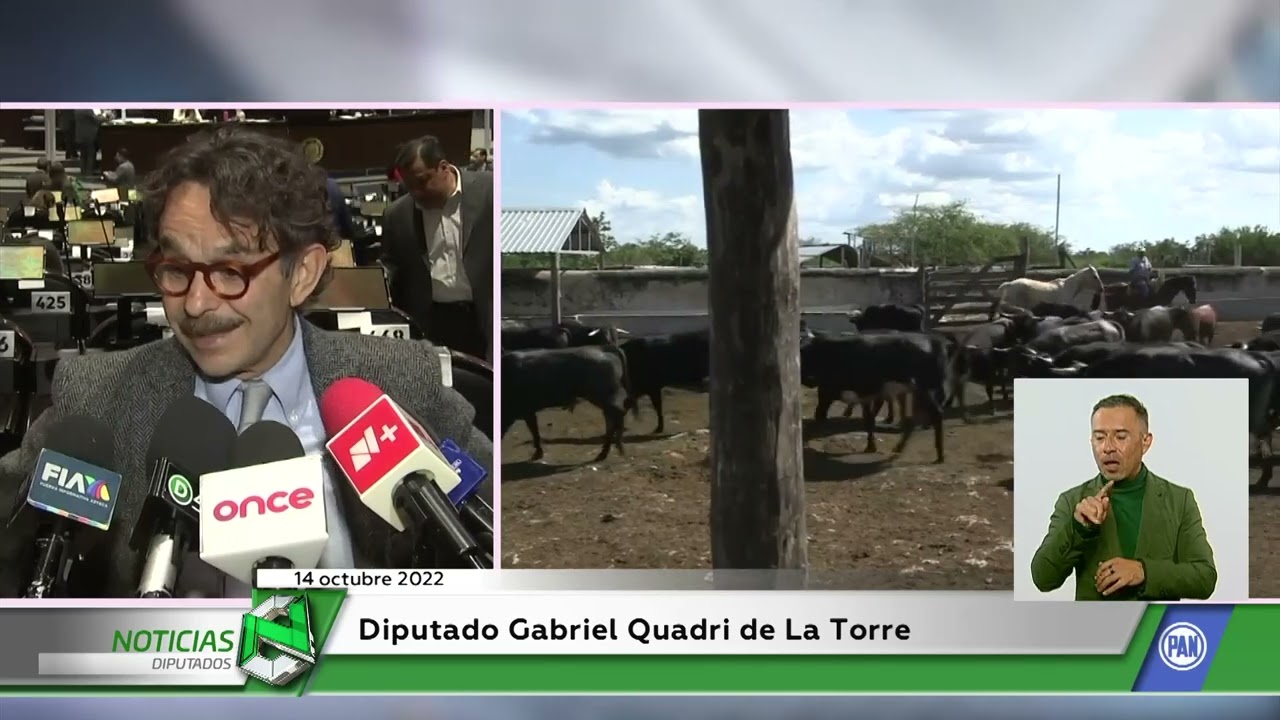 Diputados analizan prohibir corridas de toros