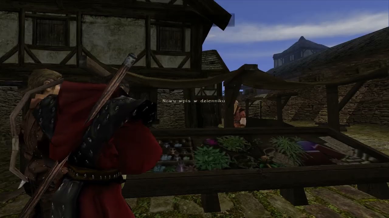 Gothic 2 Noc Kruka Ale to Paladyn odc.2
