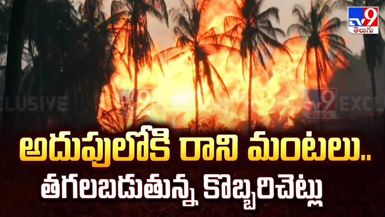 Malikipuram ONGC Site : అదుపులోకి రాని మంటలు..తగలబడుతున్న కొబ్బరిచెట్లు - TV9
