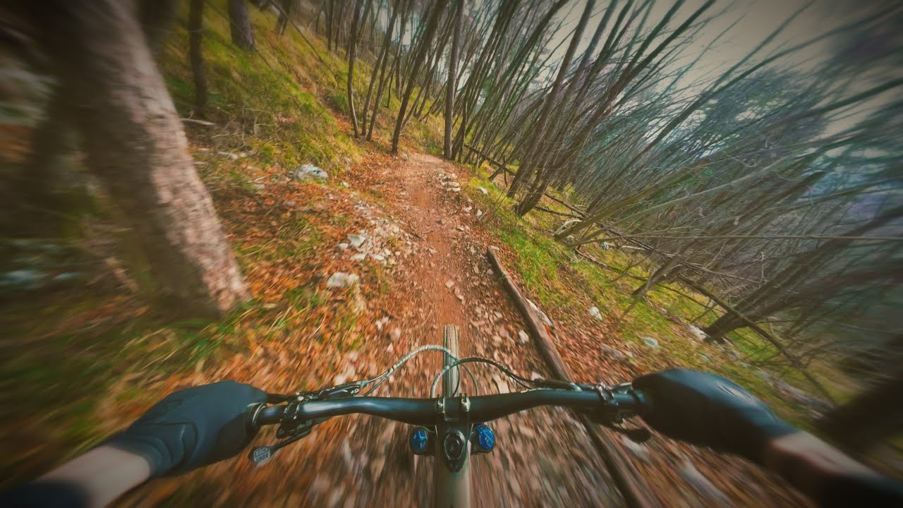 MTB Sveta Gora - Kraljica👑 (Nova Gorica)