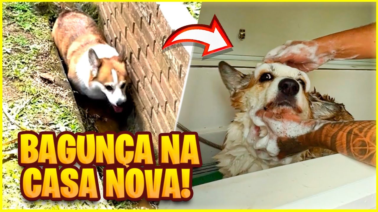 NÃO ACREDITO QUE O TAMTAM FEZ ISSO NA CASA NOVA!