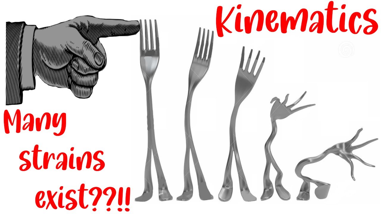 Understanding Kinematics: Strains