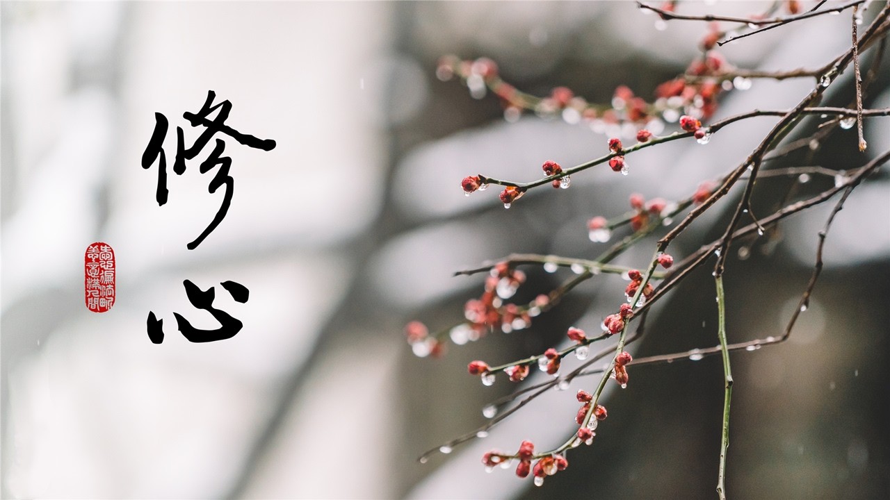 淨語錄 | 他們憑什麼快樂？