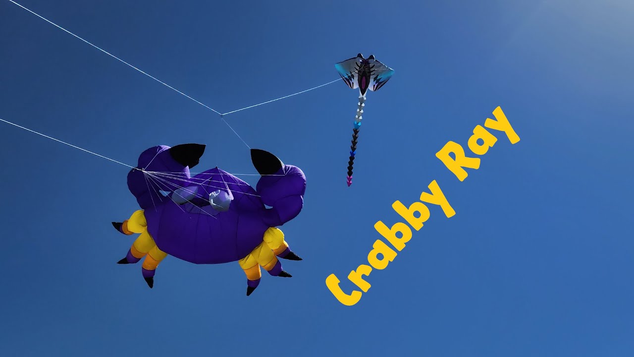 Crabby Ray Day