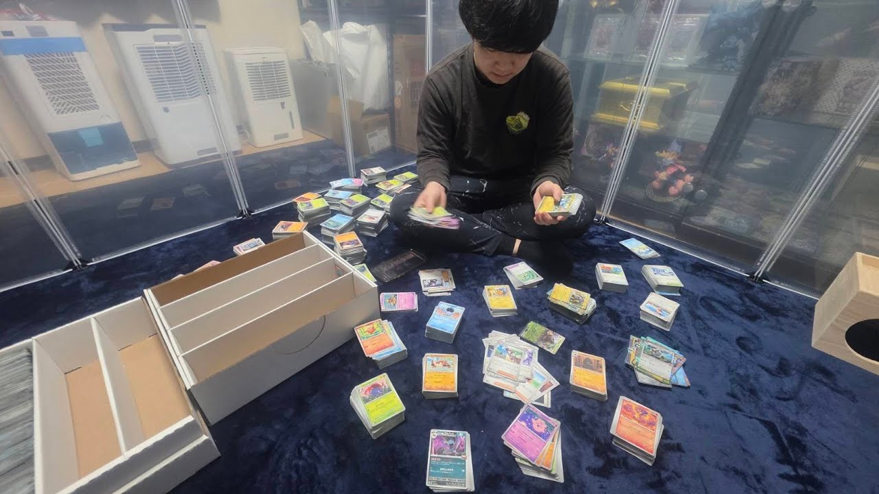 ポケカ奪いに来たんだけど