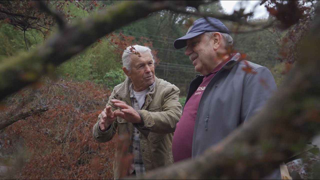 The Magical Bonsai World of 80 Year Old Dan Robinson in Washington State