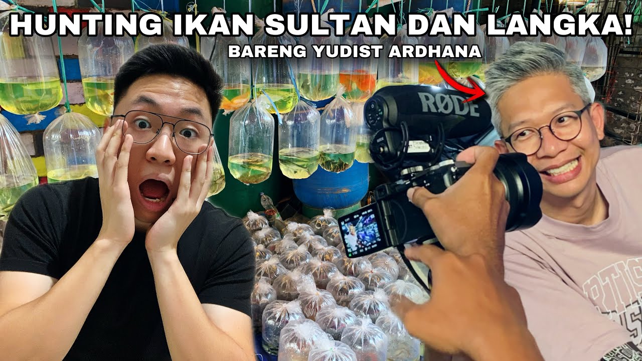 BLUSUKAN CARI IKAN PALING ANEH DAN LANGKA DI PASAR IKAN TERBESAR SURABAYA!