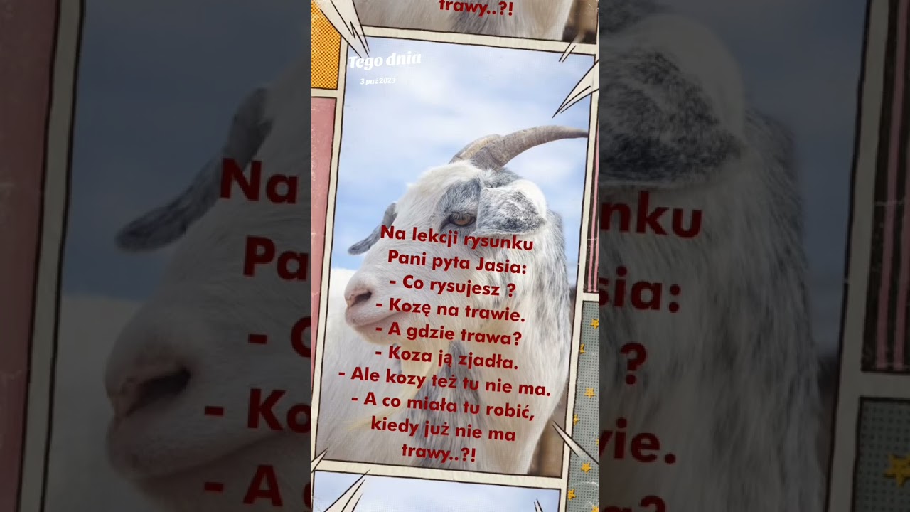 Artysta #dlaciebie #dowcipy #humor #miłość #kawały #śmiesznyfilmik #kasia #śmieszne #żarty #nie