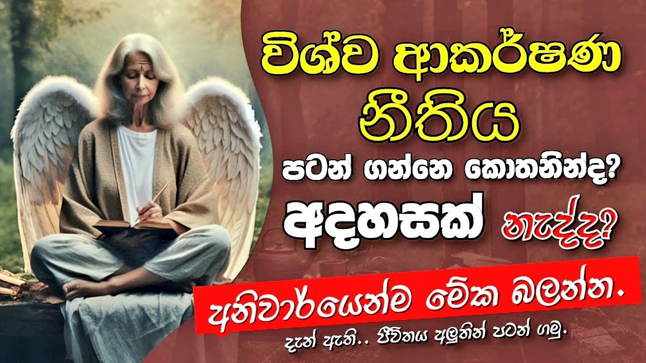 විශ්ව ආකර්ෂණ නිතිය පටන් ගන්නේ කොතනින්ද කියලා අදහසක් නැද්ද? එහෙනම් මේ වීඩියෝ එක ඔයාට (The Secret LOA)