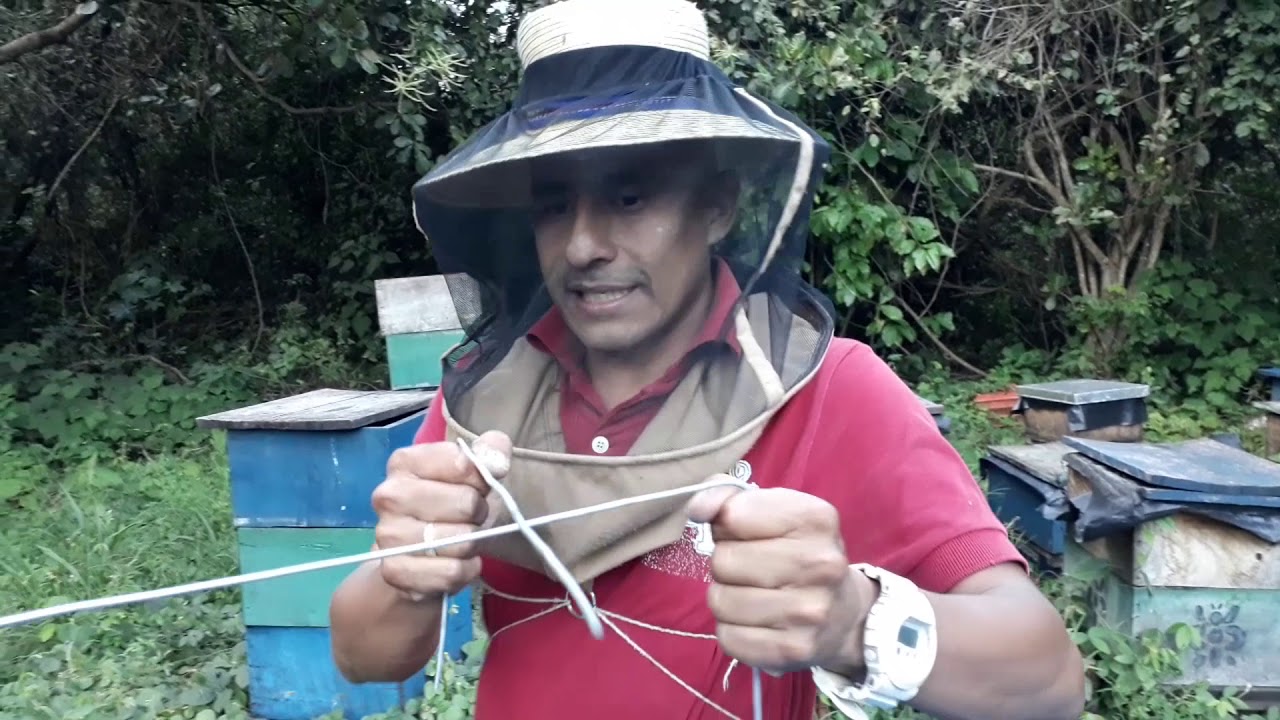 Reina Inseminada y continuacion de los cruces teluricos( especial 10,000 suscriptores)