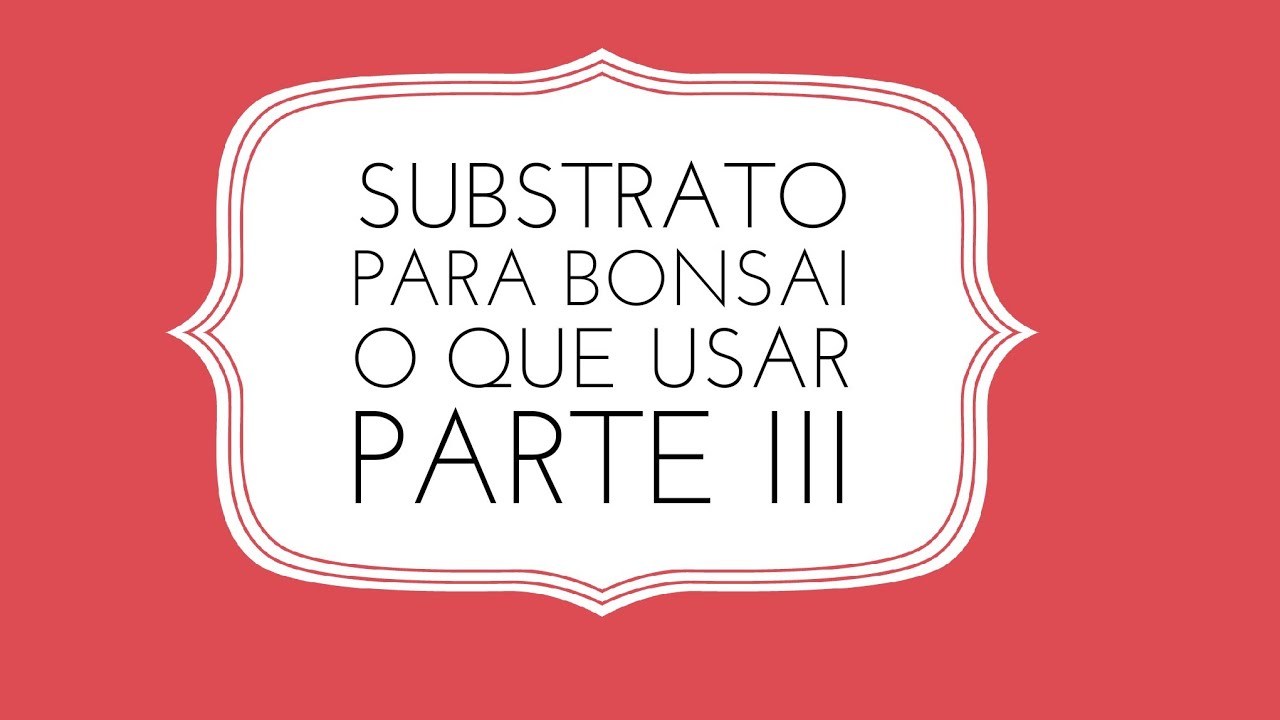 Substrato para Bonsai - Parte III