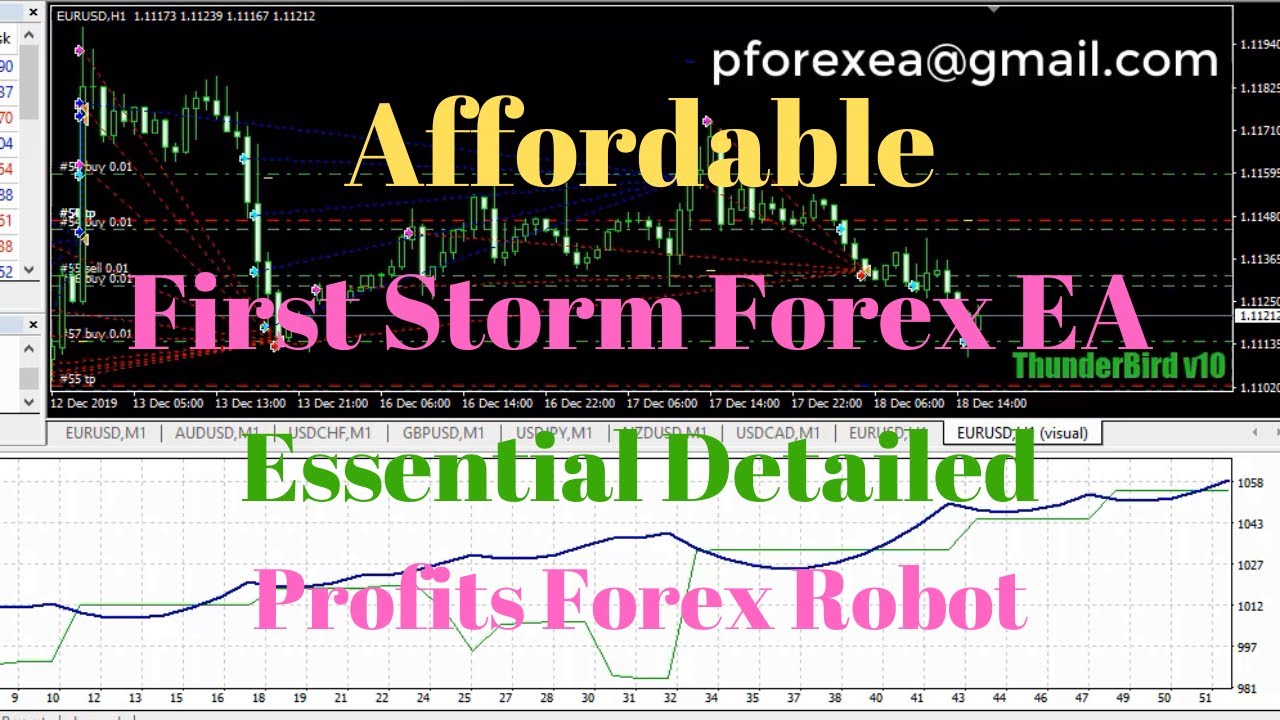 Affordable Forex EA Robot | First Storm Forex EA | Essential Detailed Forex EA Download
