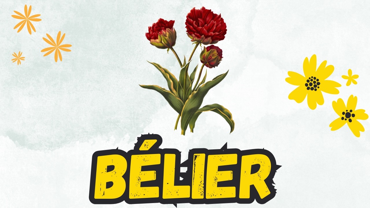 BELIER 😍 BÉBÉ ! TU VAS FINIR AVEC CETTE PERSONNE, BELIER !! 🤣 💑 🤐