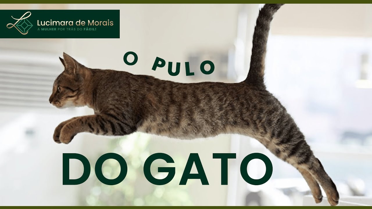 O PULO GATO PARA ALCANÇAR SEUS DESEJOS!!!!!!!