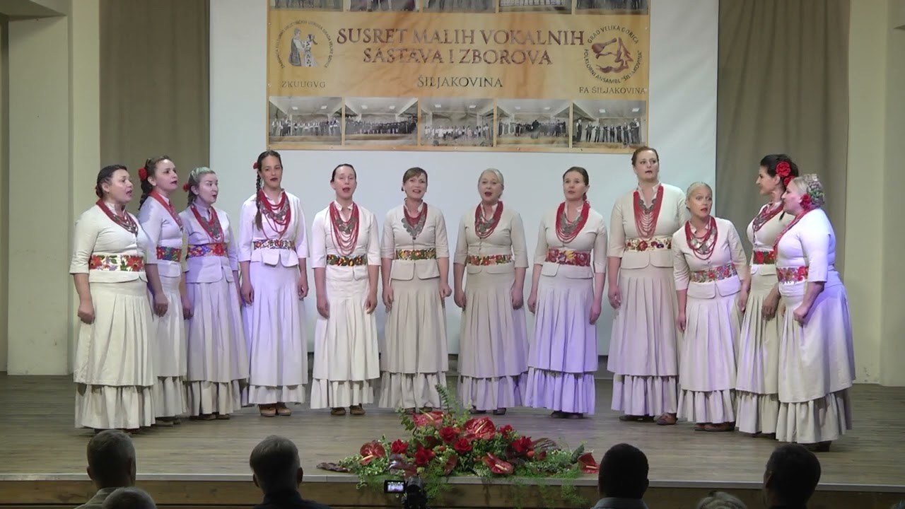ANSAMBL JANE   ZDRAVI BILI DED I BAKA