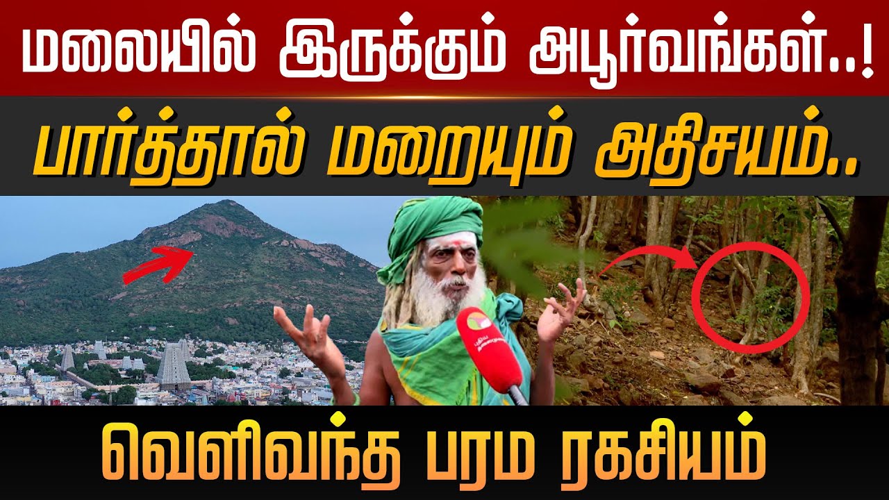 திருவண்ணாமலையின் திடுக்கிடும் தகவல்கள்.. வெளிவந்த பரம ரகசியம்… | TIRUVANNMALAI