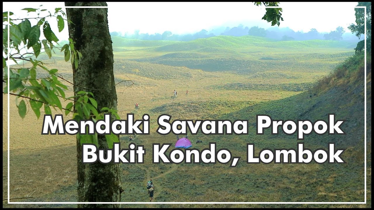 Mendaki Savana Propok - Bukit Kondo | Lombok