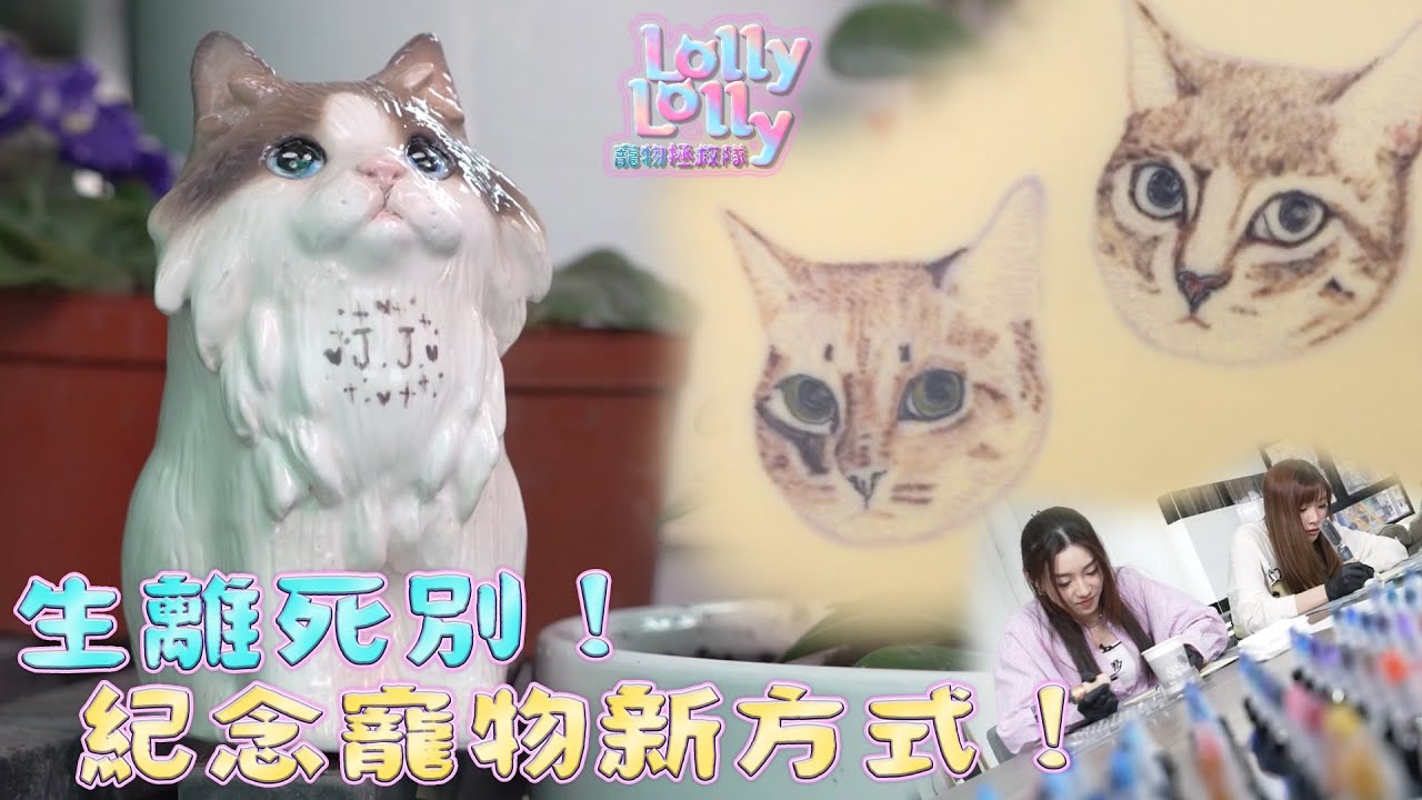 生離死別！紀念寵物新方式！｜ Lolly Lolly寵物拯救隊 ｜EP8｜ Lolly Talk ｜ 寵物 ｜ HOY TV