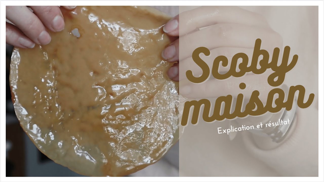 comment faire un SCOBY ?