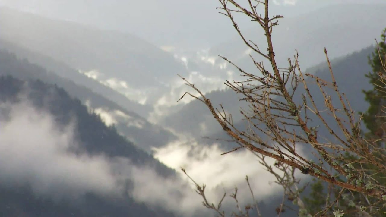 DH shots #4 - SNOW N BIKES 2011