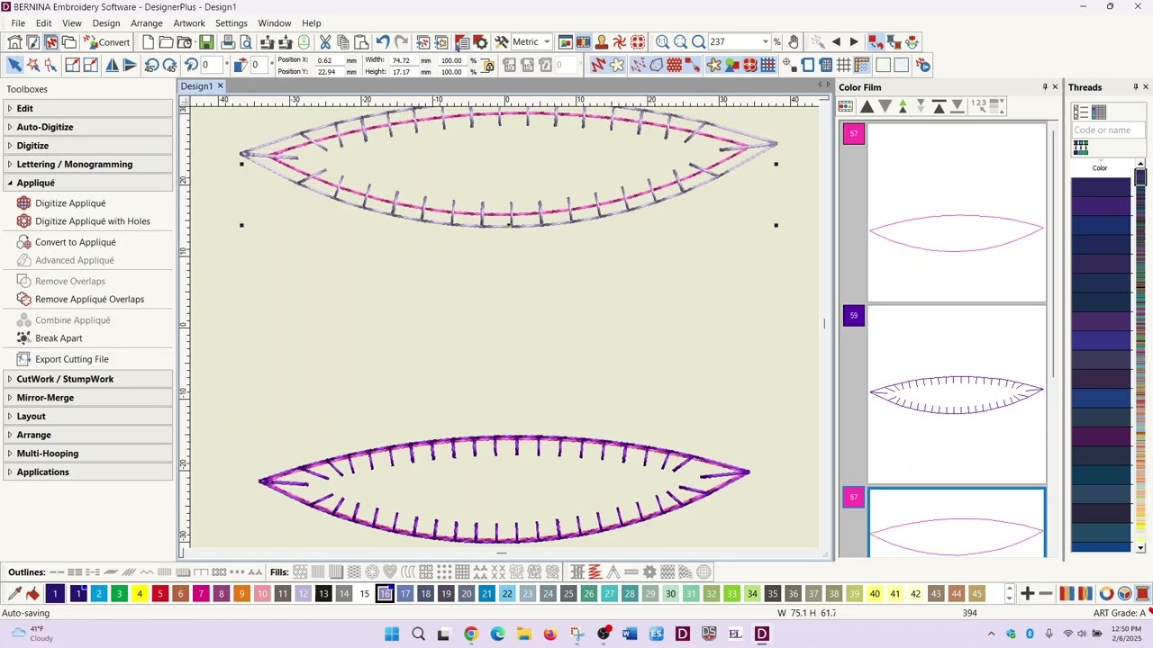 Bernina V9 Blanket stitch Applique