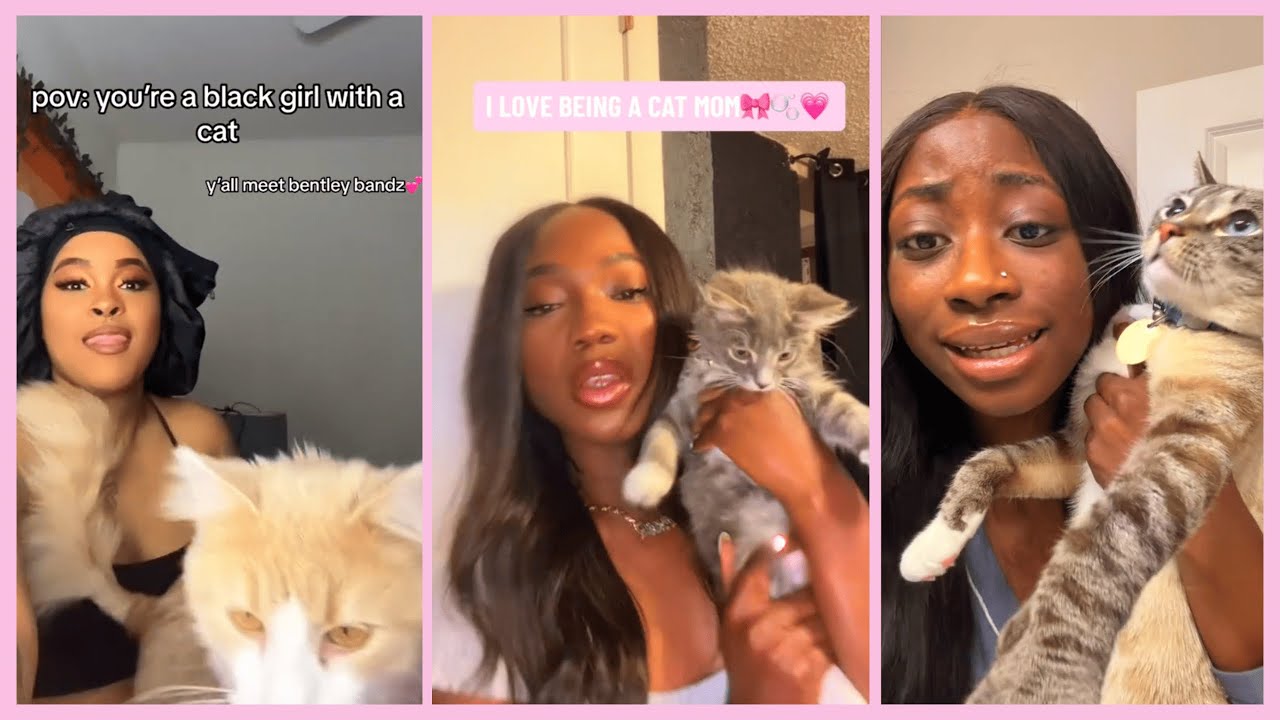 Black Women & Their Clingy Cats #21 | LUCKY UPDATE 🐾 | Funny TikTok Compilation 2026 #cat #cats