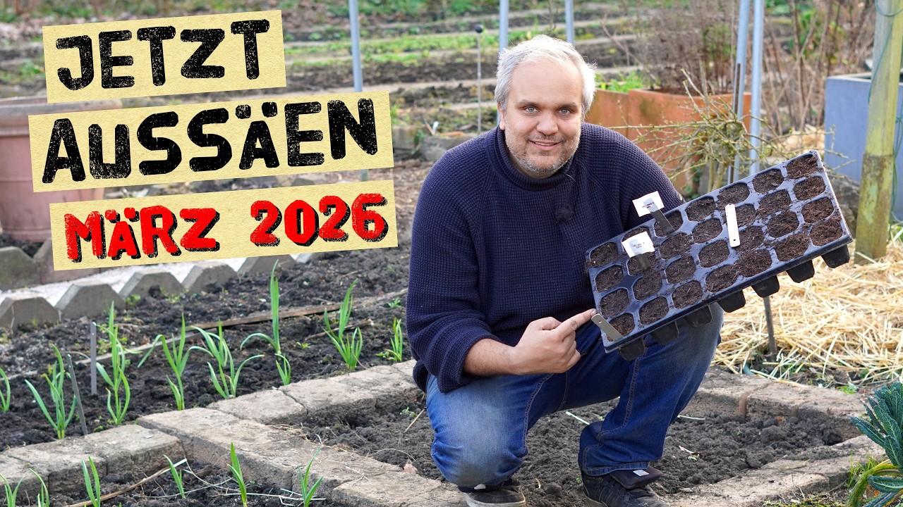 Aussaaten im März - Was kannst du jetzt vorziehen und was kannst du schon direkt in den Garten säen!