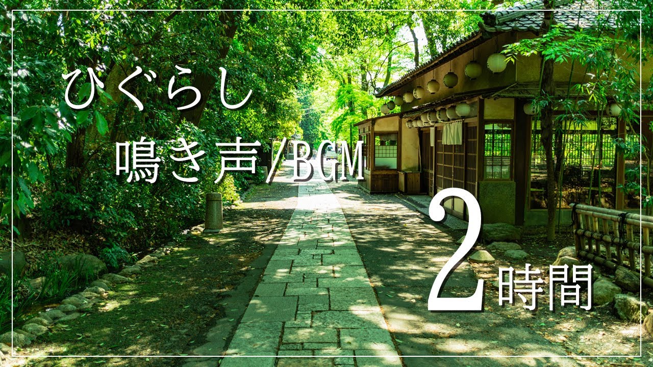 【ひぐらし鳴き声BGM/自然音】セミ 蝉 夏 癒し リラックス【作業用BGM・勉強用BGM・仕事用BGM・睡眠用BGM】集中力高める音楽 Japanese higurashi bark cicada