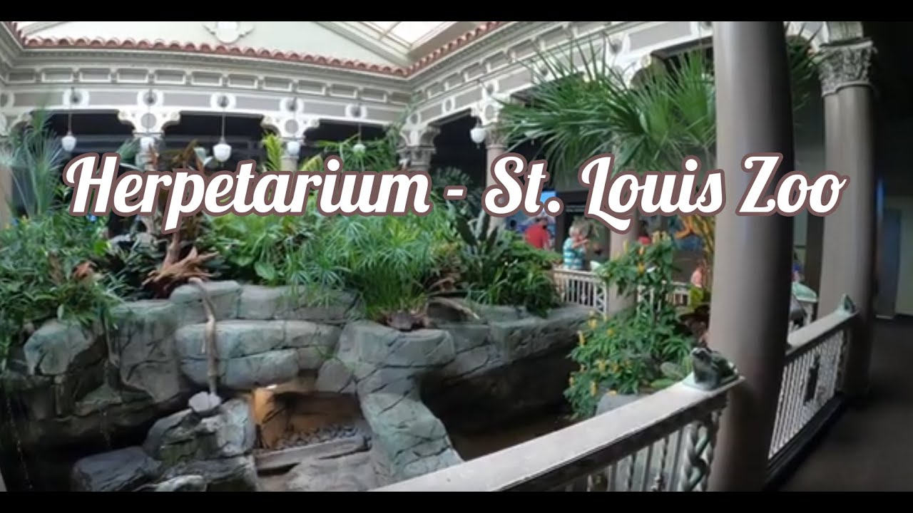 Herpetarium - St. Louis Zoo