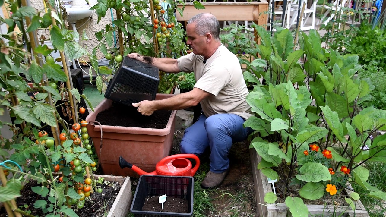 No till- מושג  5