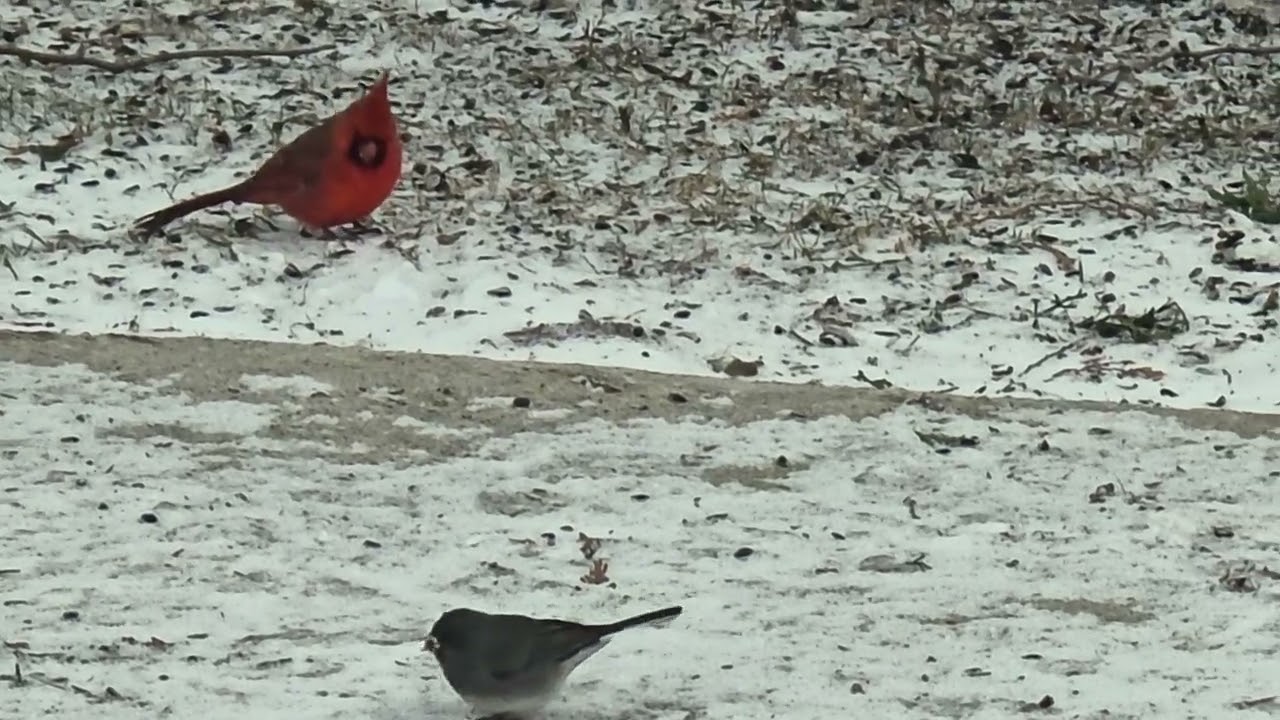 Seems like they are ALL hungry. 