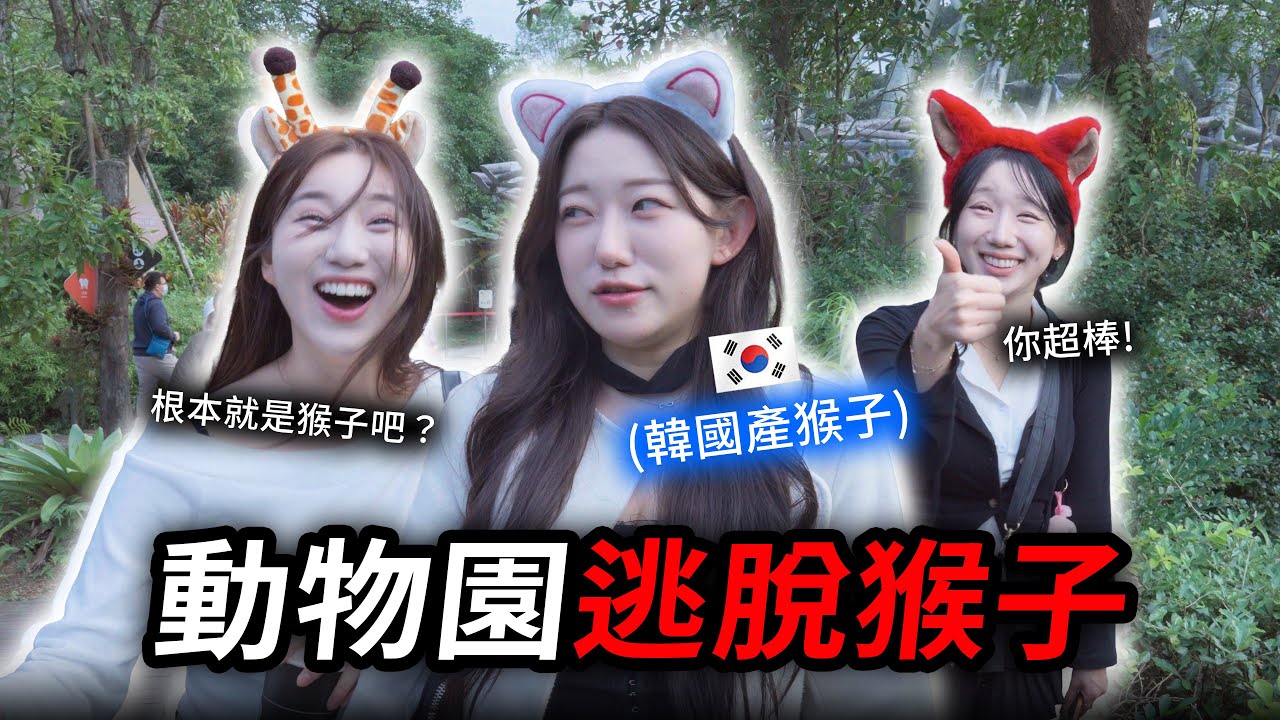 一群韓國女生在動物園大失控 #金賢姈 #許秀美 #李智圓