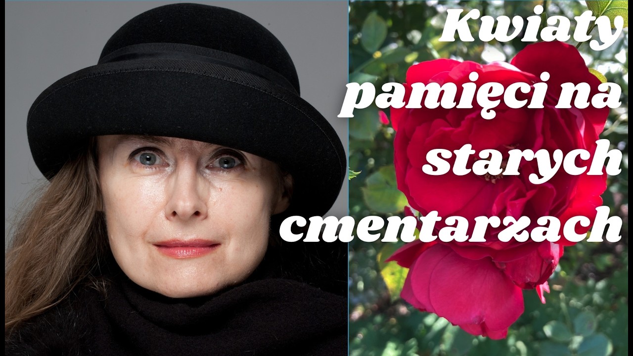 RÓŻE i inne ROŚLINY zdobiące zabytkowe cmentarze (CCs) #róże #kwiatyogrodowe #krzewyodporne #roses