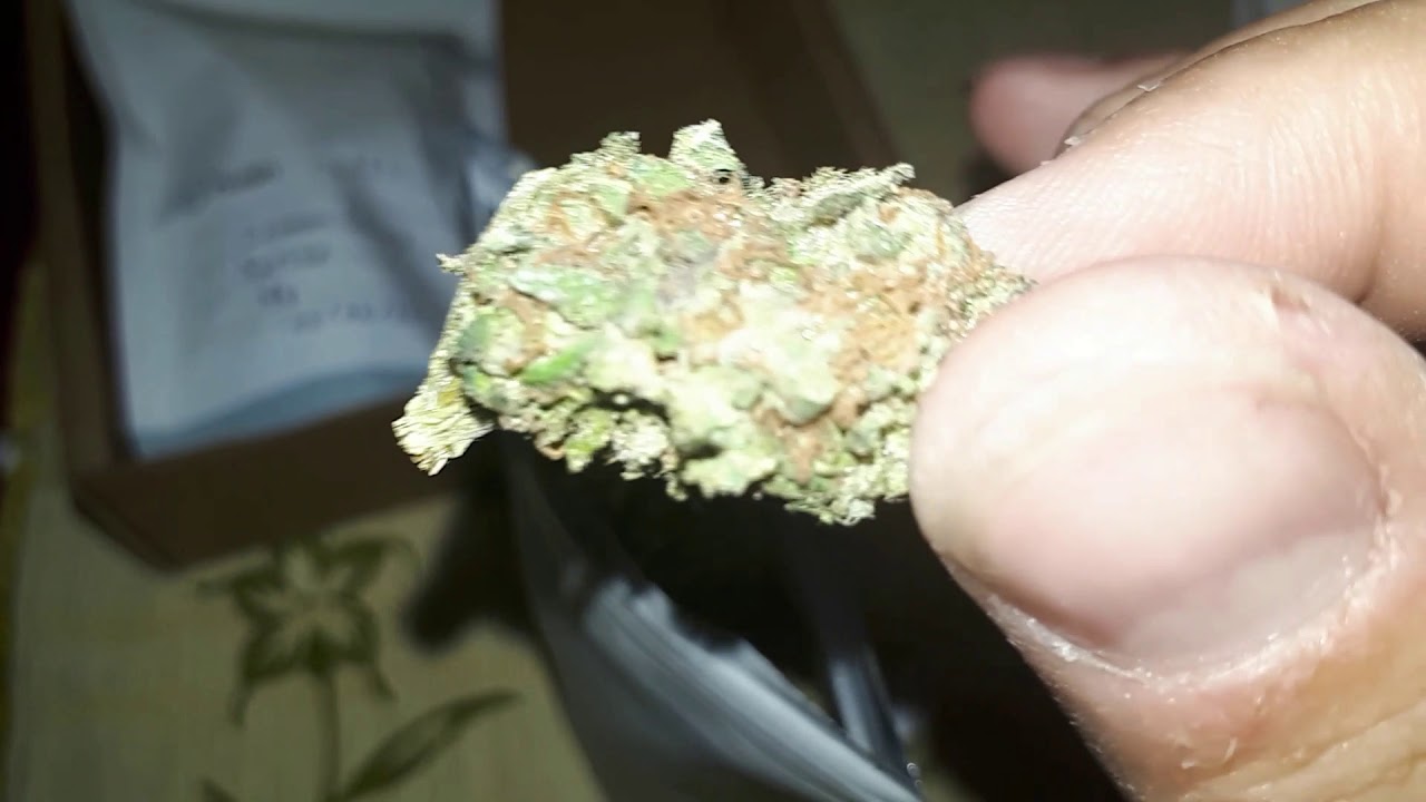 Lemon Skunk Unboxing