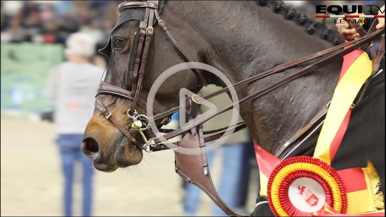 Jumping International de Liège: retour gagnant.