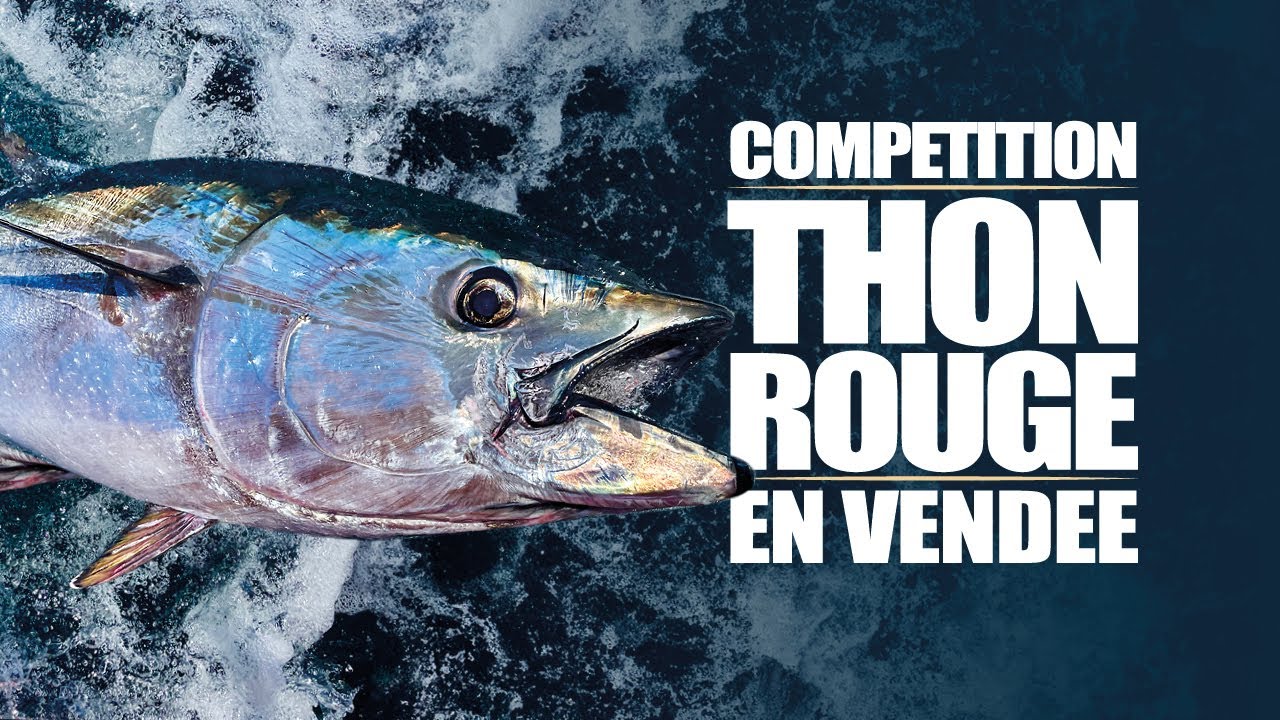 Compétition de pêche du THON ROUGE en Vendée