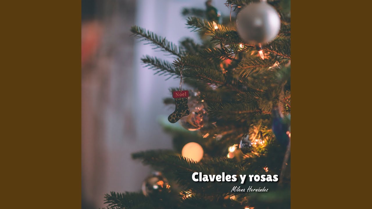 Claveles y Rosas