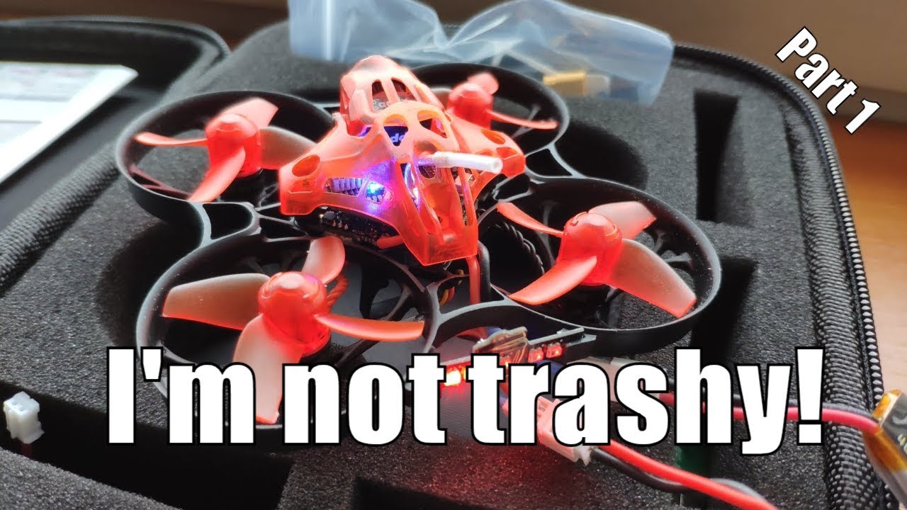 Eachine Trashcan - King of the 2S Whoops? (part 1)
