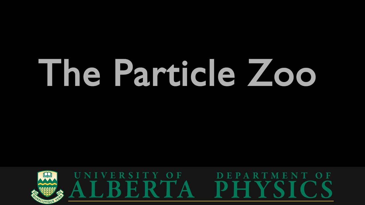 PHYS 485 The Particle Zoo