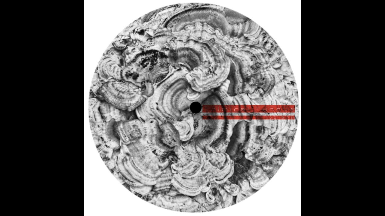 Inimical Fungus