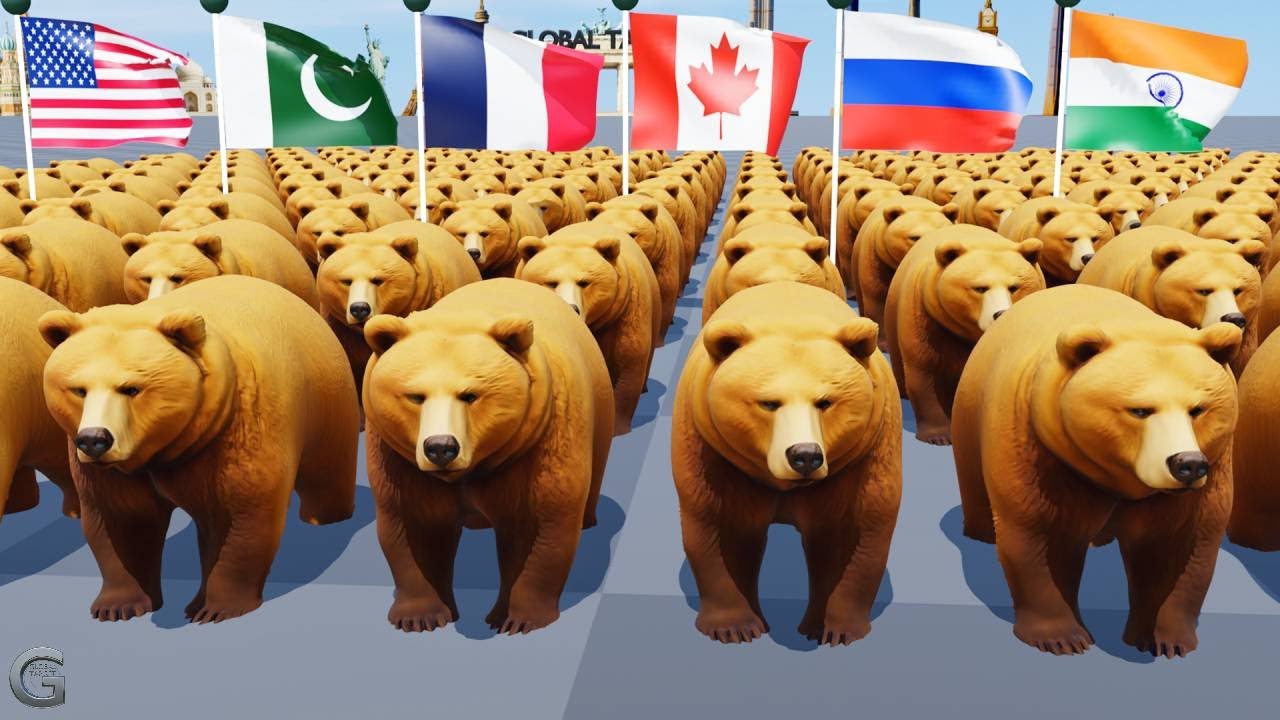 Brown Bear Population by Country 2025 | Comparison Video