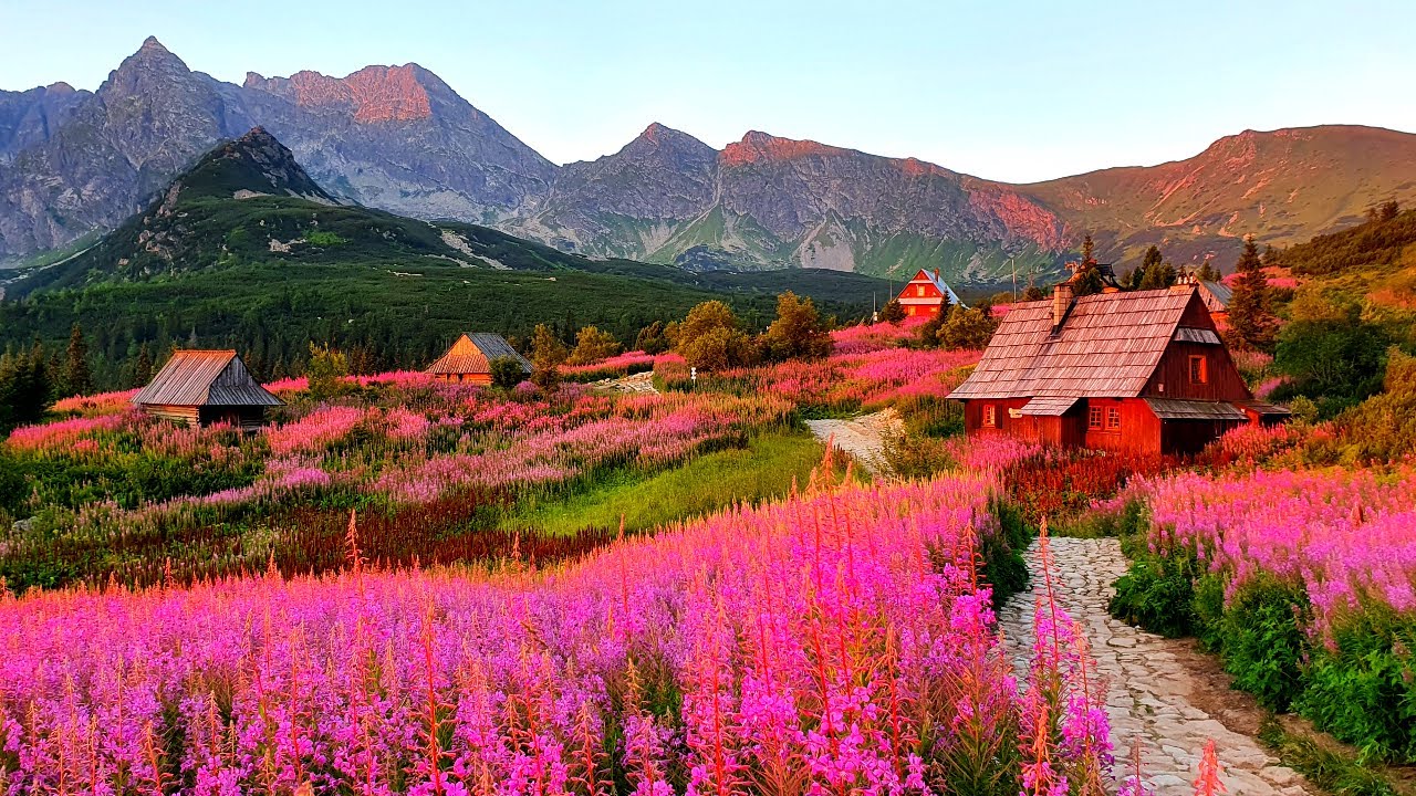 Hala Gąsienicowa, Tatry szlak z Kuźnic - Piękne Polskie Góry Arek Błażkowski