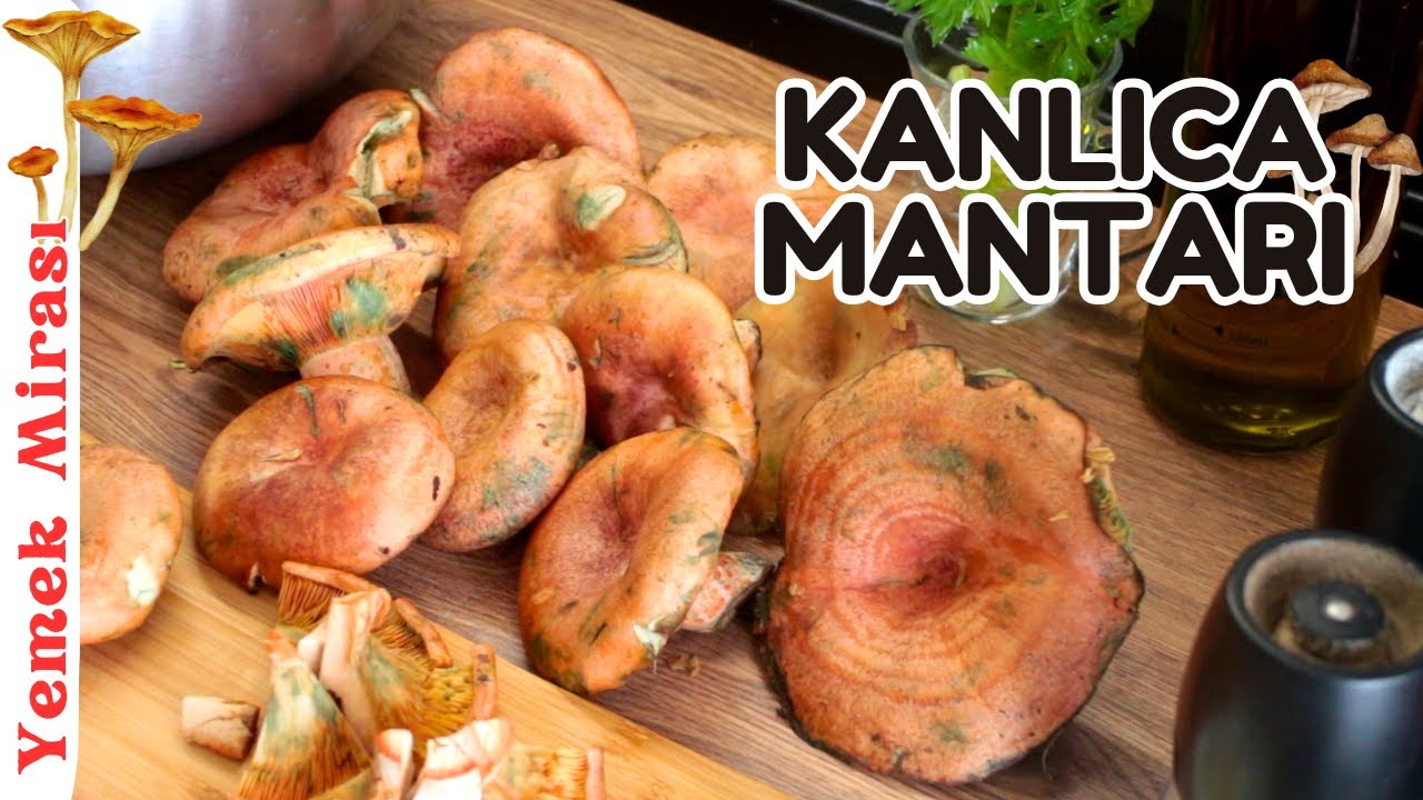 Kanlıca Mantarıyla Muhteşem Bir Mantar Sote Tarifi Çıntar  #kanlıcamantarı  #çıntar #espit