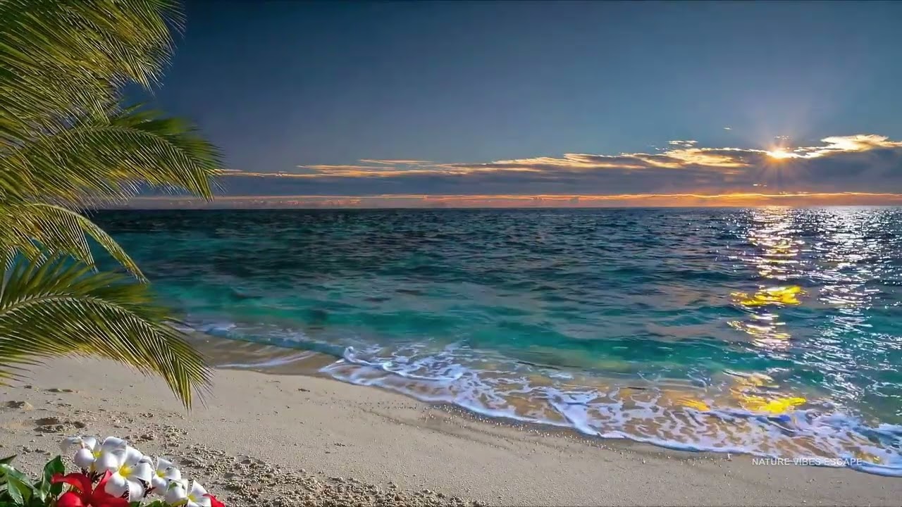 STRESS RELIEF 🌅 Seven Mile Beach Vibe Ocean Sounds | Sleep &bull; Study &bull; Focus | 12 Hours 4K 🌴