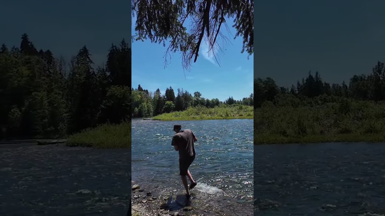 Cowlitz river Summer run Steelhead