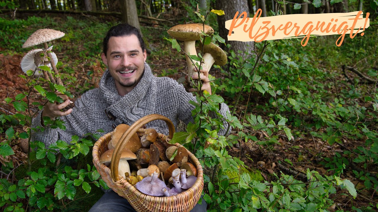 Traumstart in den Pilzherbst 2024 😍 perfekte Steinpilze, Hexen, Parasole & Rötelritterlinge! 🍂