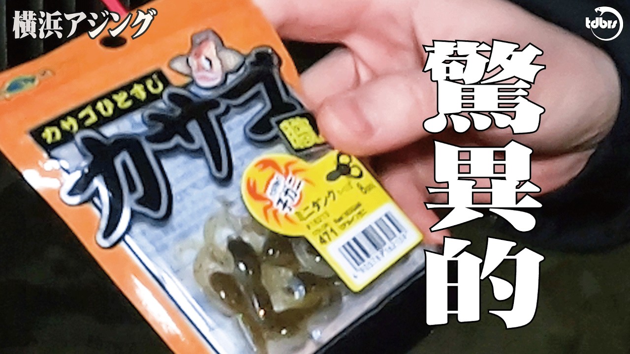 アジのアタリに、銀の鱗、脅威のかにワーム【横浜アジング】【関東】【神奈川】