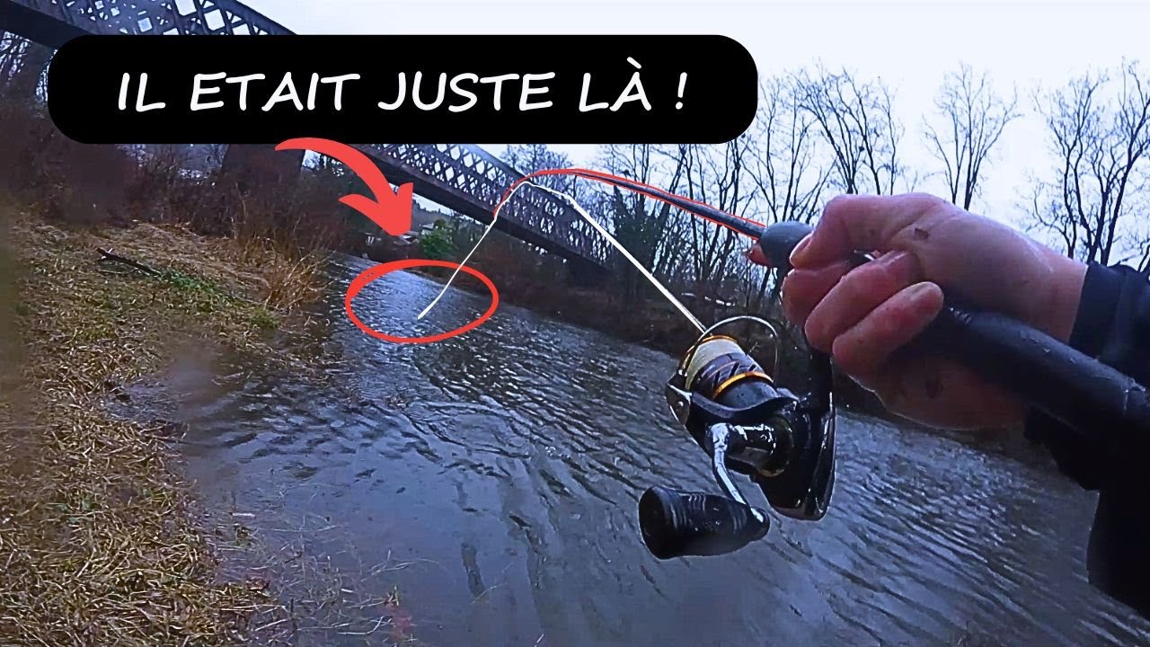 PECHE en PLEINE CRUE sous une PLUIE TORENTIELLE